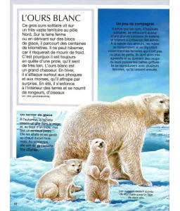 Les animaux du froid