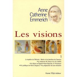 Les Visions - Tome 1