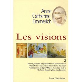 Les Visions - Tome 3