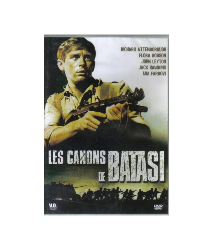 Les canons de Batasi