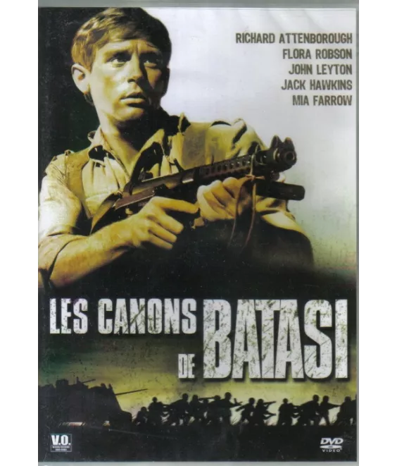 Les canons de Batasi