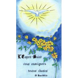 L'Esprit-Saint vous enseignera toutes choses - Image 23