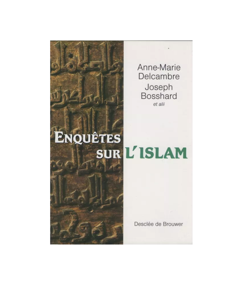 Enquêtes sur l'islam