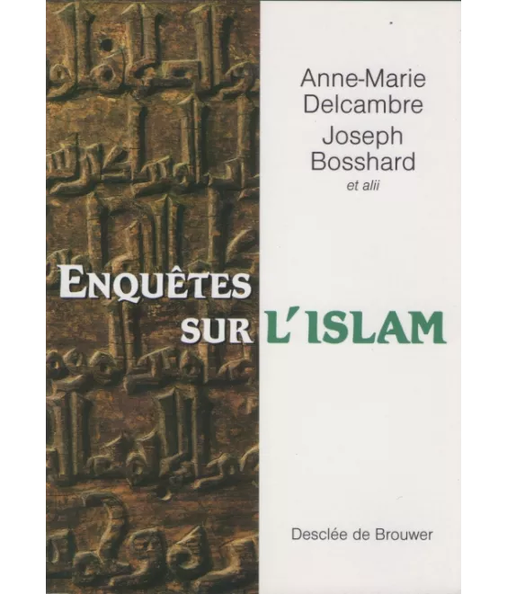 Enquêtes sur l'islam