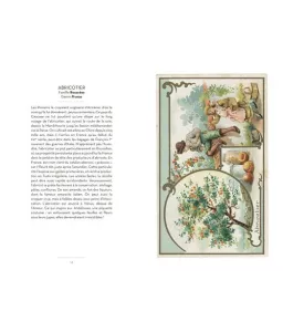 Le beau livre des arbres et des fleurs
