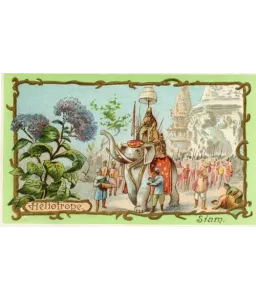 Le beau livre des arbres et des fleurs
