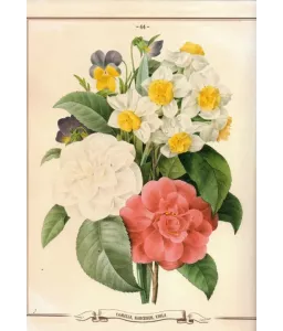 Les Fleurs