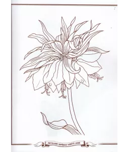 Les Fleurs