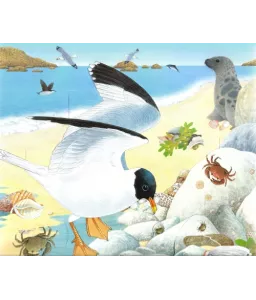 L'océan et les bords de mer