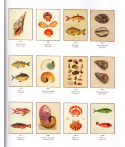 Les trésors de la mer