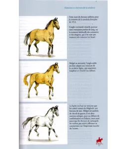 La Grande Guerre à cheval