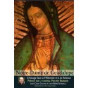 Notre Dame de Guadalupe - L'Image face à l'Histoire et la Science