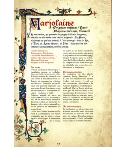 Le livre des simples