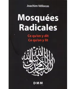 Mosquées radicales