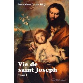 Vie de saint Joseph Tome 1
