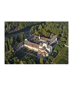 Fons Amoris