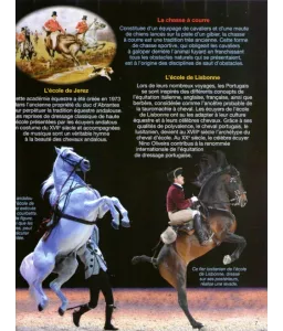 Equitation