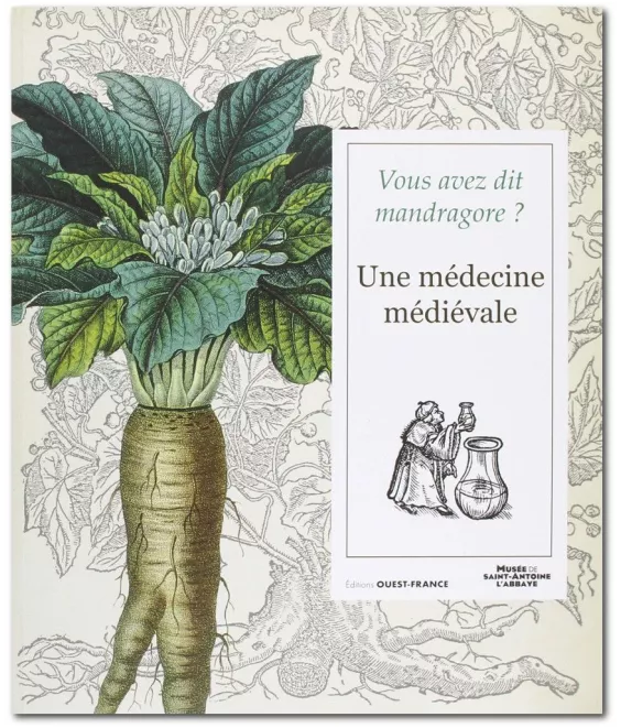 Vous avez dit Mandragore ?