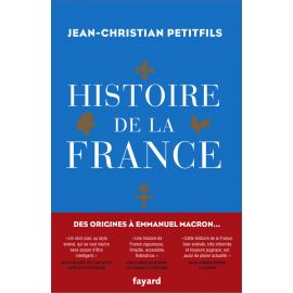 Histoire de la France - Le vrai roman national