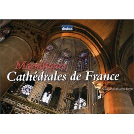 Elsa Nadal - Magnifiques Cathédrales de France