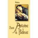 Saint Antoine de Padoue - Le Saint de tout le monde
