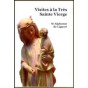 Saint Alphonse de Liguori - Visites à la Très Sainte Vierge