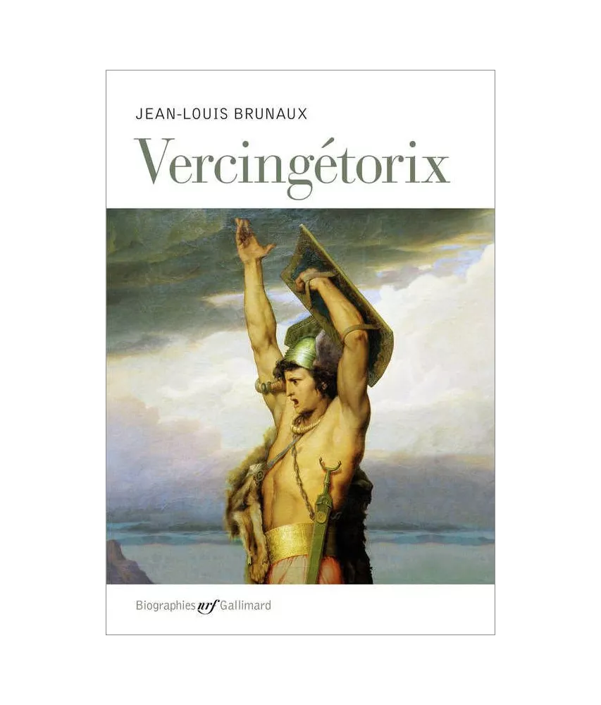 Jean-Louis Brunaux - Vercingétorix