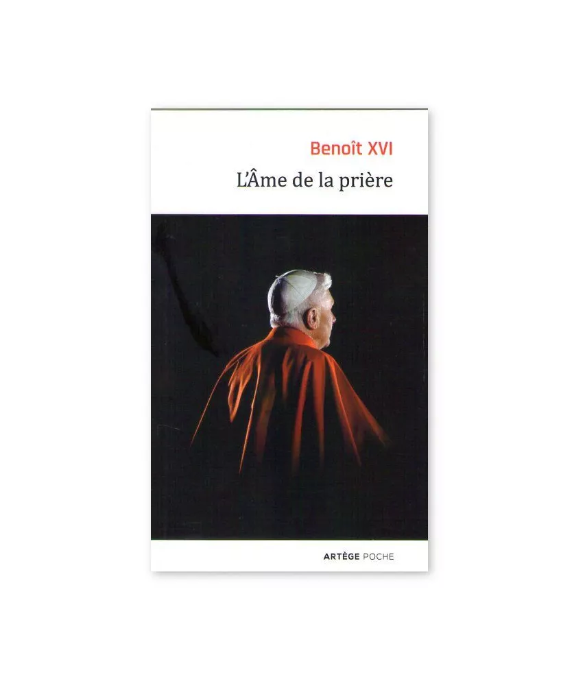 Cet étrange monsieur Monnet