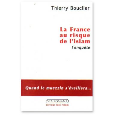 La France au risque de l'Islam - L'enquête