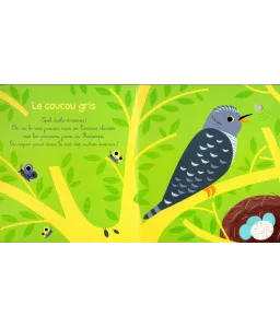 Olivia Cosneau - Mes premiers chants d'oiseaux