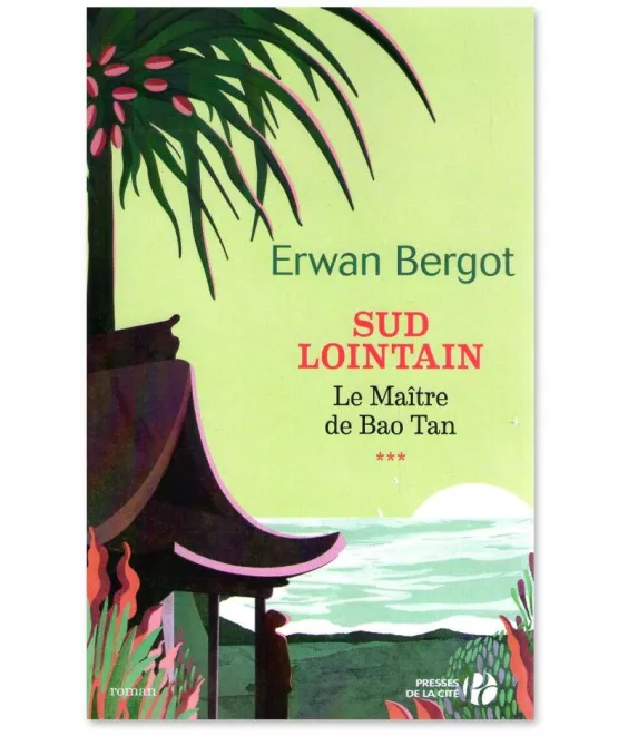 Erwan Bergot - Sud Lointain Tome 3