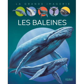 Agnès Vandewièle - Les baleines
