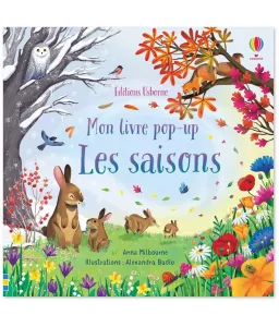 Anna Milbourne : Les Saisons - Mon livre pop-up | Livres en famille