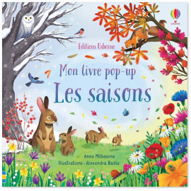 Les Saisons - Mon livre pop-up