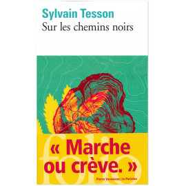 Sylvain Tesson - Sur les chemins noirs