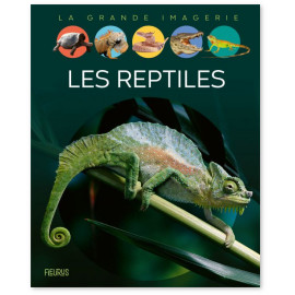 Cathy Franco - Les reptiles