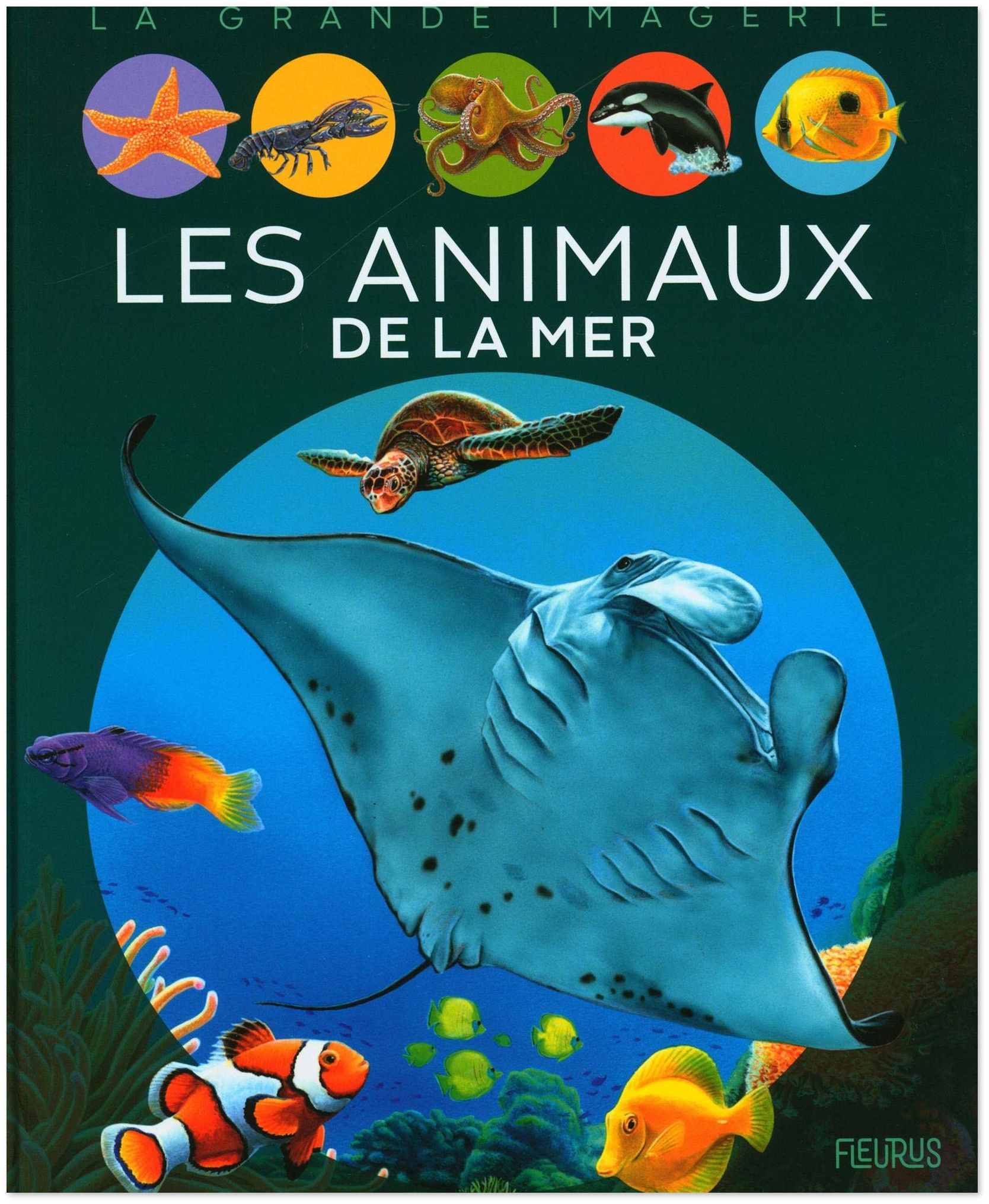 Fleurus Animaux de La Mer Édition Française Livre de Poche Emilie Beaumont 