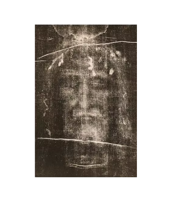 Visage du Saint-Suaire de Turin
