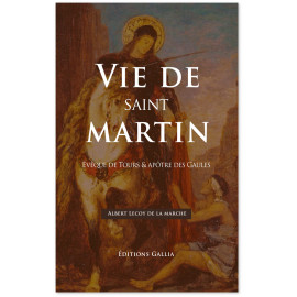 Vie de saint Martin évêque de Tours & apôtre des Gaules