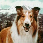 William Beaudine - Lassie -Volume 1
