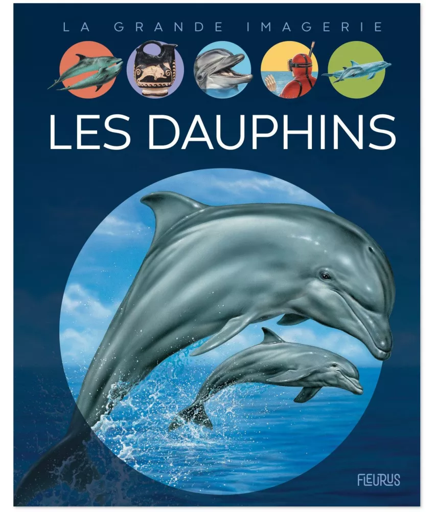Stéphanie Redoulès - Les dauphins