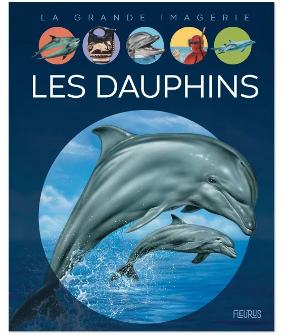 Stéphanie Redoulès - Les dauphins