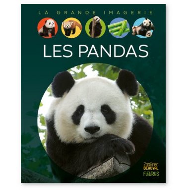 Stéphanie Redoulès - Les Pandas