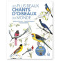 Les Beletsky - Les plus beaux chants d'oiseaux du monde