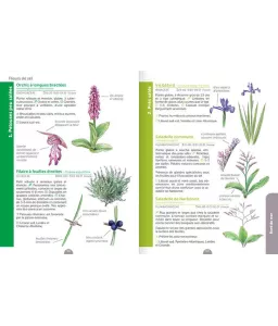 Aino Adriaens - Au bord de l'eau - Le guide nature
