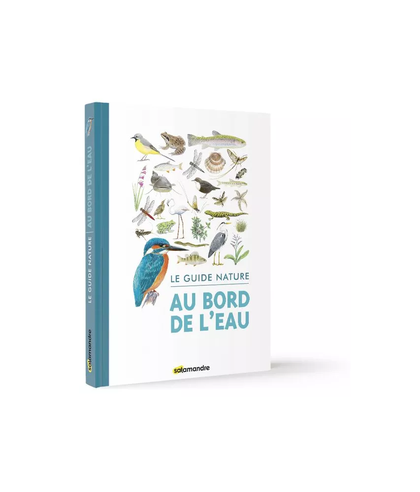 Aino Adriaens - Au bord de l'eau - Le guide nature