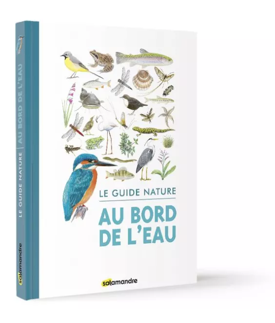 Aino Adriaens - Au bord de l'eau - Le guide nature