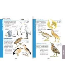 Aino Adriaens - Au bord de l'eau - Le guide nature