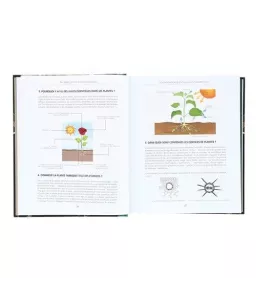 Danièle Festy - Ma Bible des Huiles essentielles