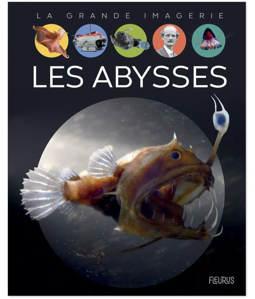 Laure Cambournac - Les Abysses